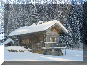 Vue est�rieure du chalet le Nid, fontaine et barbecue.