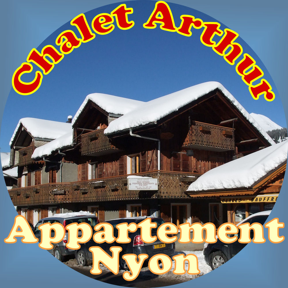 Appartement Duplex Nyon - Appartement en chalet 8/9 personnes - 2 chambres confort 3***